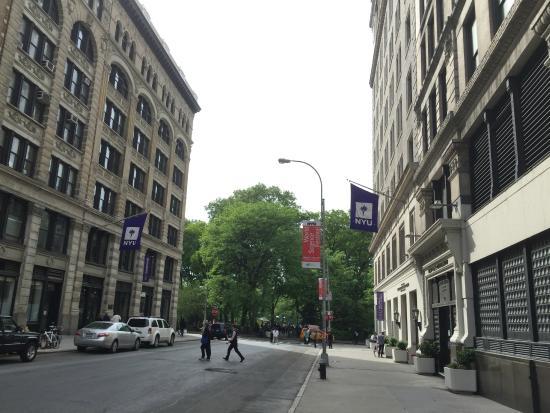 Università di New York